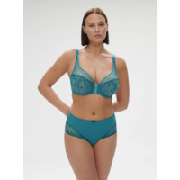 Delice Sheer Plunge Bra