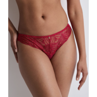Vibes Italian Brief