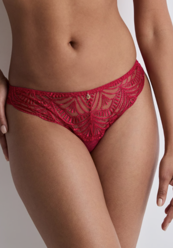 Vibes Italian Brief 