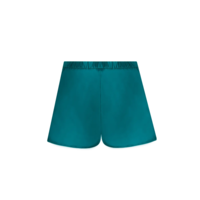 Sublime En Dentelle Lingerie Shorts