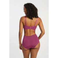 Flirt Lace Smoothing Brief