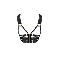 Signature Panelled Bodice Bra