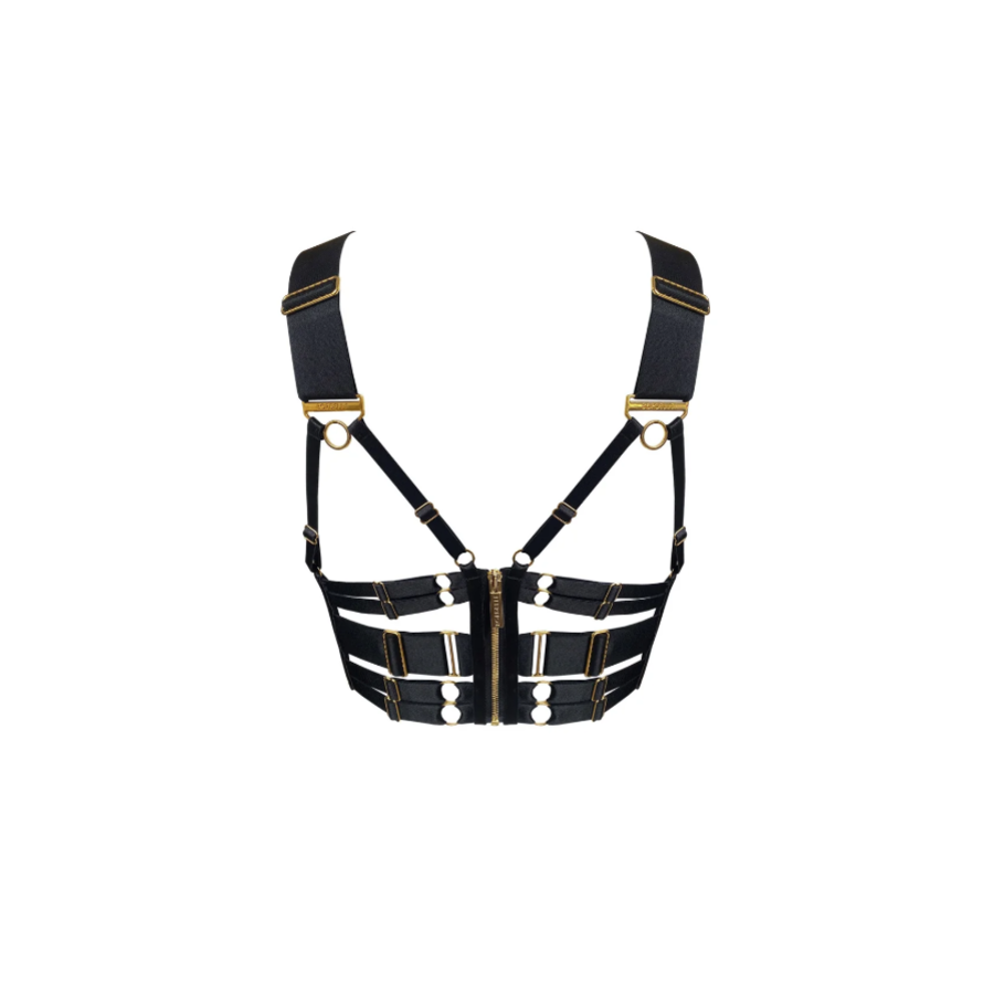 Signature Panelled Bodice Bra