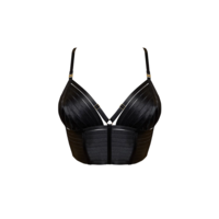 Signature Crop Top Bra