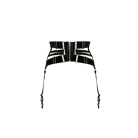 Signature Panelled Cincher