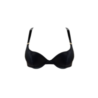 Signature Silk Push-Up Bra