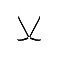 Signature Mesh Triangle Bra