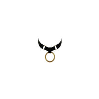Signature Ring Collar