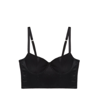 Iris Underwire Crop Bustier