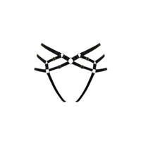 Signature Ouvert Harness Brief