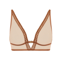 Sheer Emotion Triangle Bralette