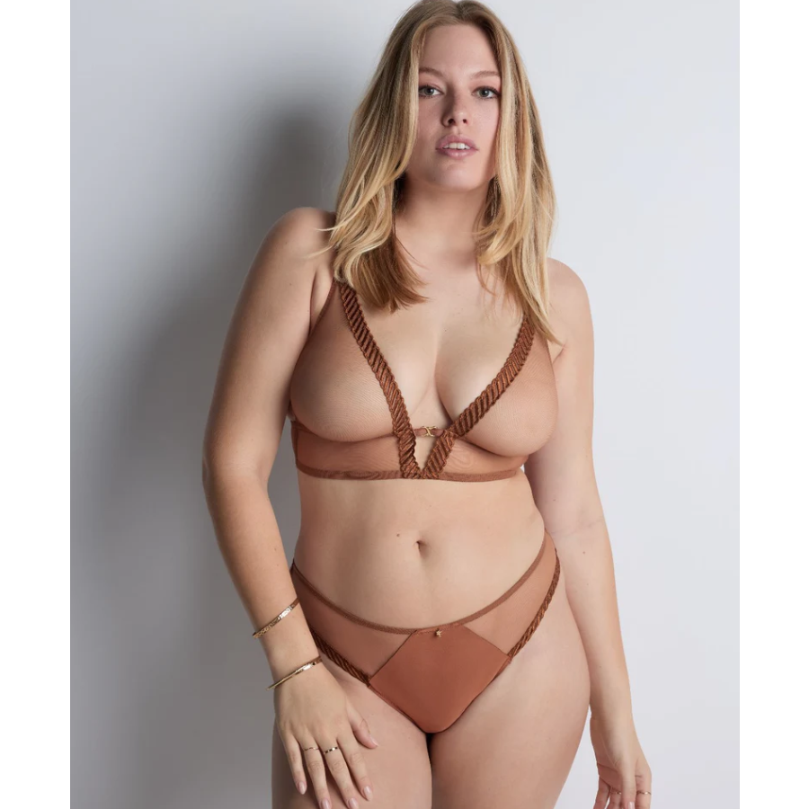 Sheer Emotion Triangle Bralette