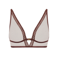 Sheer Emotion Triangle Bralette