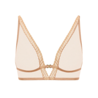 Sheer Emotion Triangle Bralette