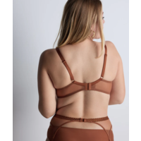 Sheer Emotion Triangle Bra