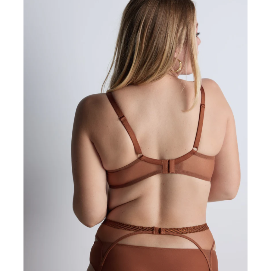 Sheer Emotion Triangle Bra