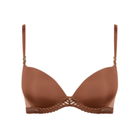 Sheer Emotion Moulded Plunge Bra