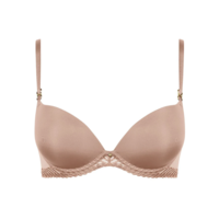 Sheer Emotion Moulded Plunge Bra