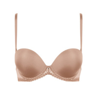Sheer Emotion Plunging Bandeau Bra