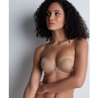 Sheer Emotion Plunging Bandeau Bra