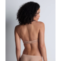 Sheer Emotion Plunging Bandeau Bra