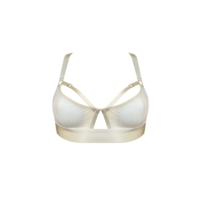 Signature Soft Cup Bra