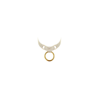 Signature Ring Collar