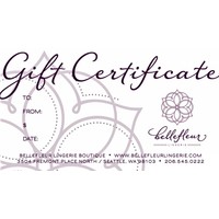 $500 Gift Certificate