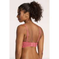 Flirt Lace Cup-Sized Bralette