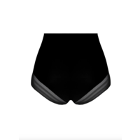 New Apesanteur High Shapewear Brief