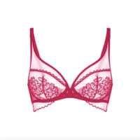 Romance Plunging Underwired Bra