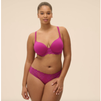 Reve Brief