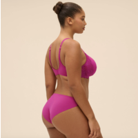 Reve Brief