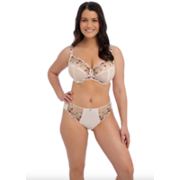 Marie Brief