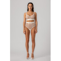 Sculpt Sheer Panties