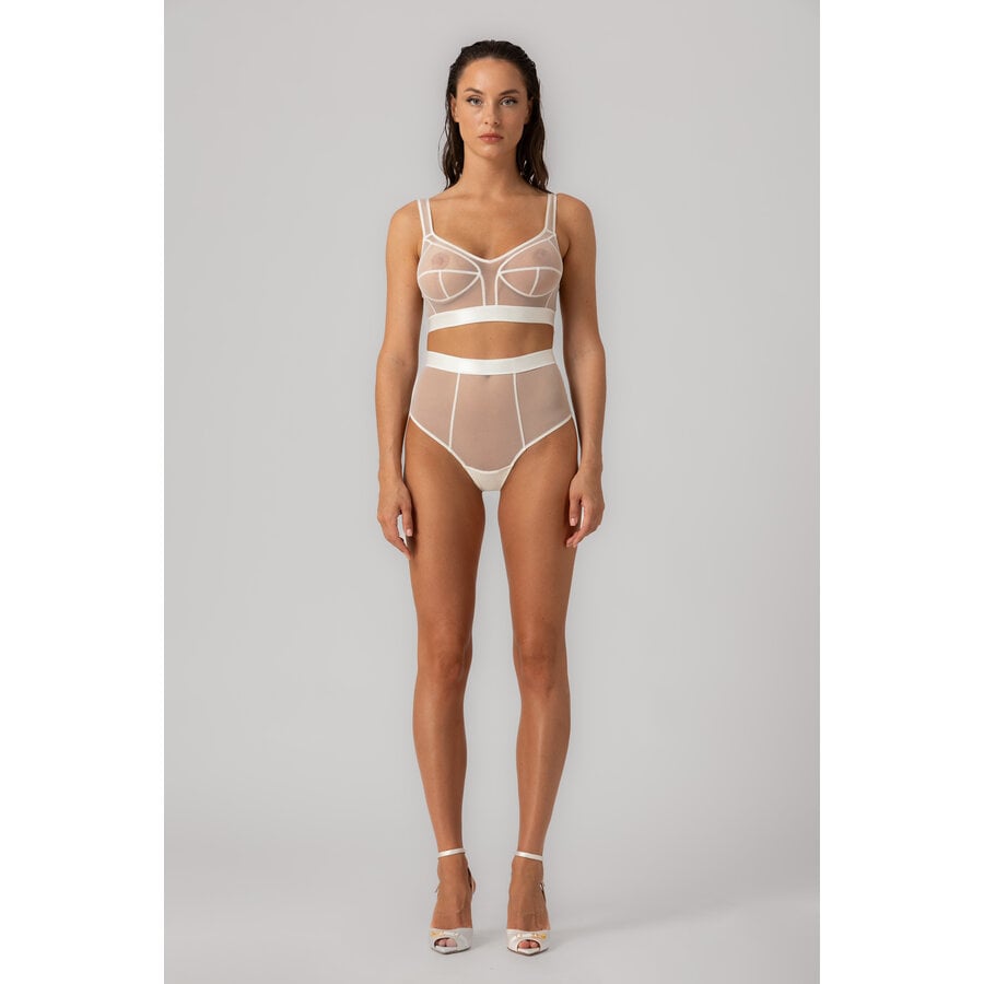 Sculpt Sheer Panties