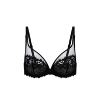Wish Sheer Plunge Full Cup Bra