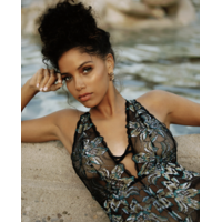 Paradiso Plunge Teddy