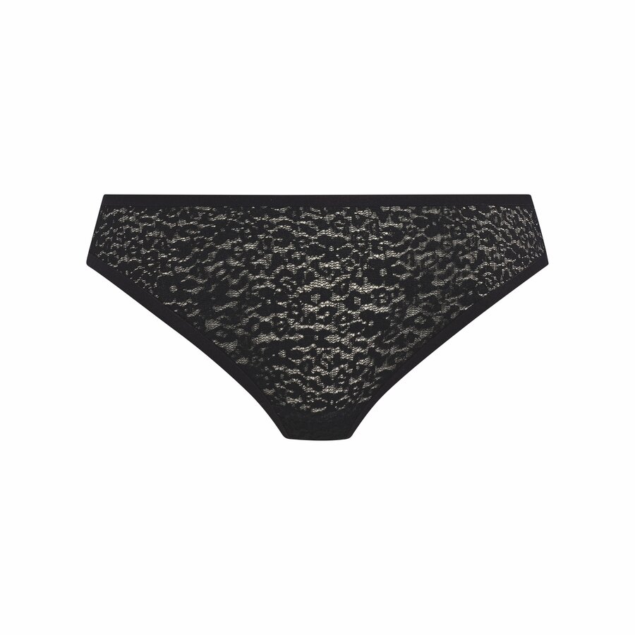 Serenne Brief
