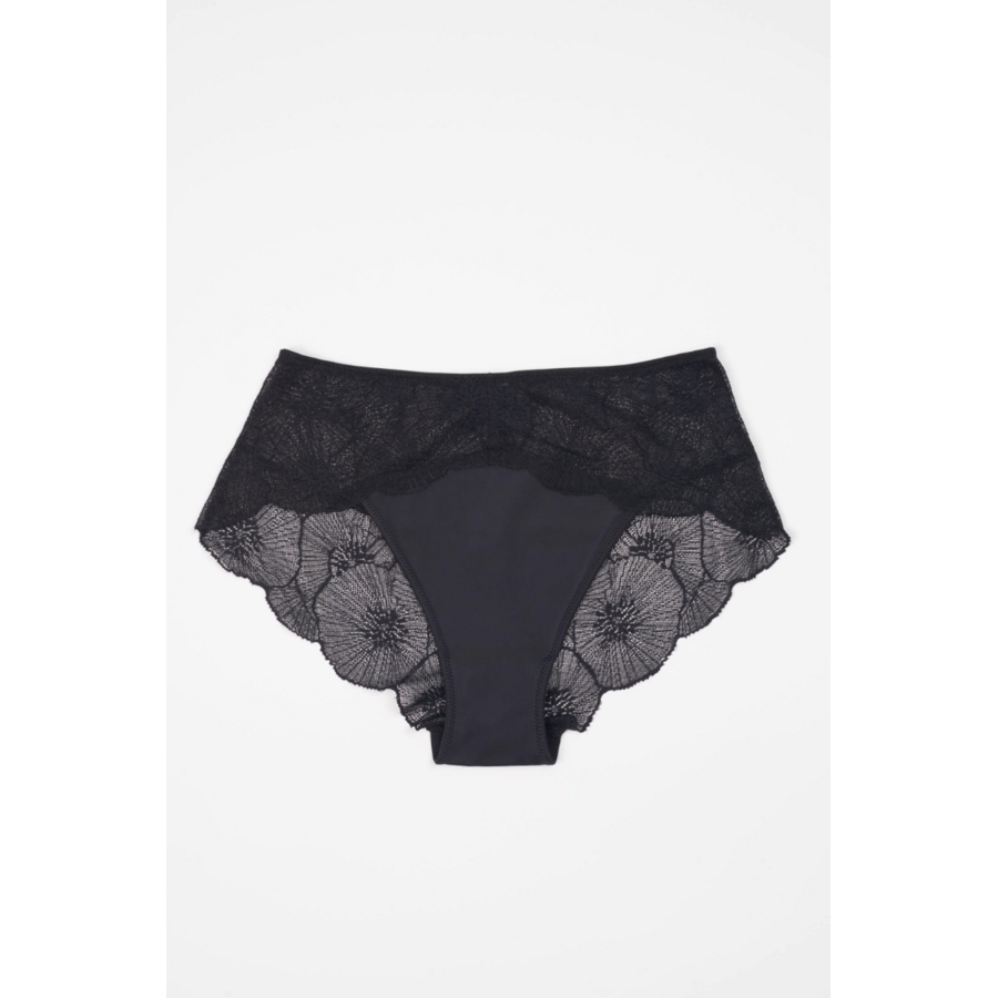Anemone Brief