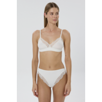 Anemone Brief