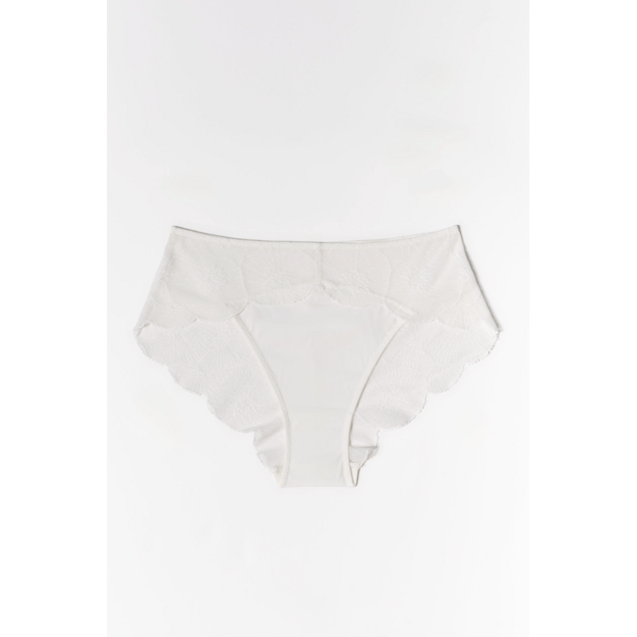 Anemone Brief