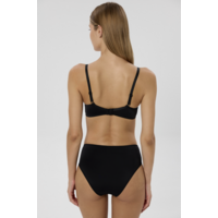 Nano Brief
