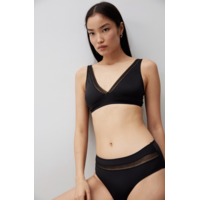 Nano Brief