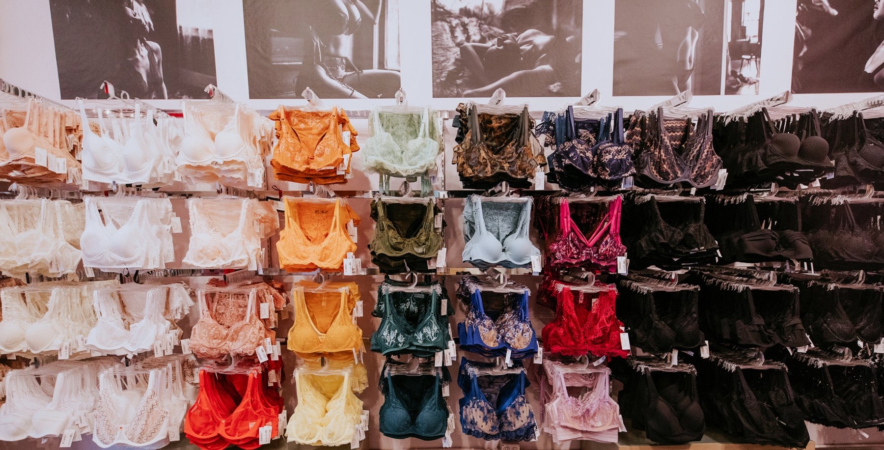 Introducing Bellefleur Rewards