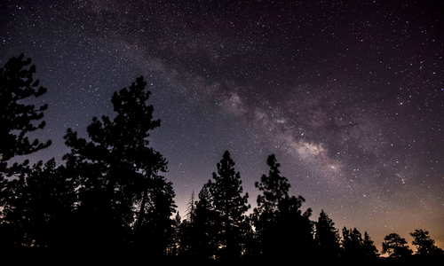  Moody, Unexpected, And Beautiful