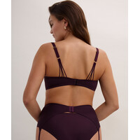 Eloge Du Desir Suspender Belt