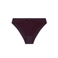 Eloge Du Desir Brazilian Brief