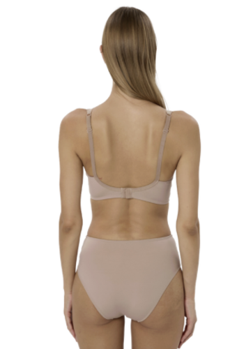 Nano Brief 