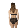 Anemone Brief